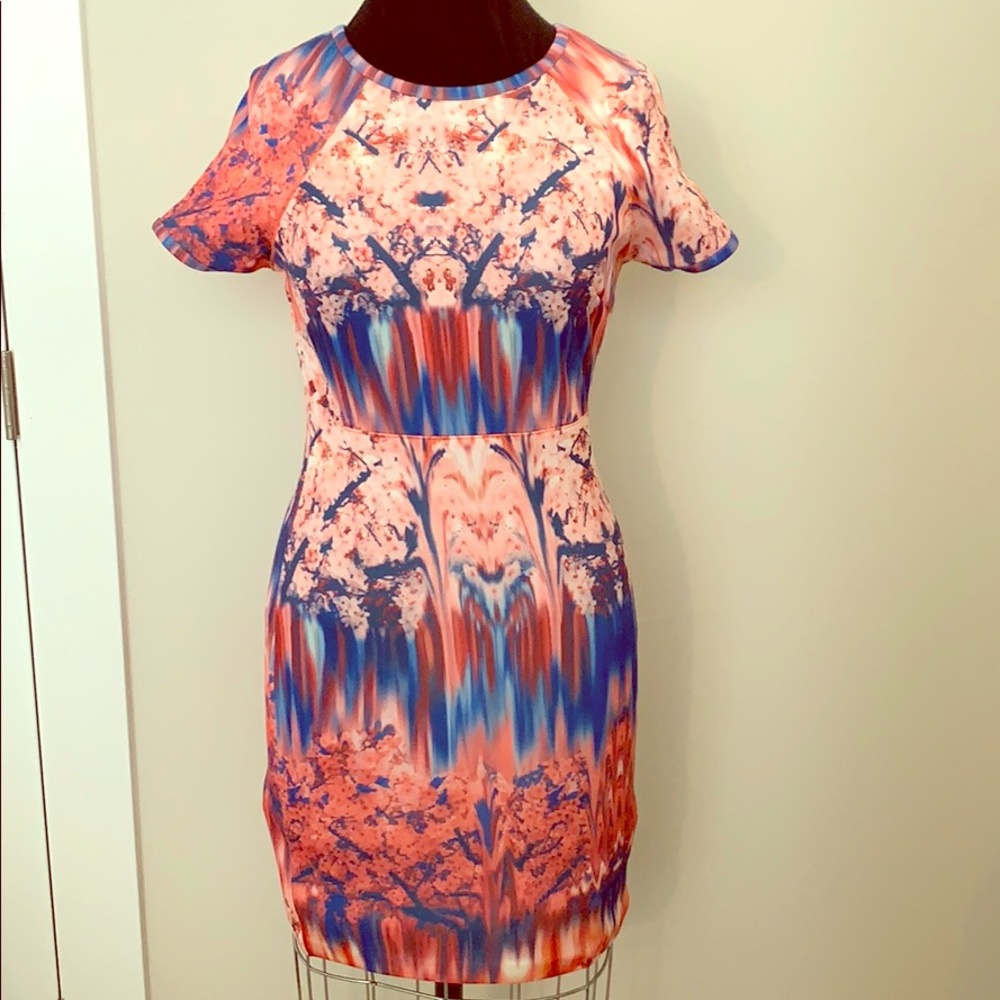 Sweet Sinammon scuba dress.
